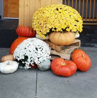 Phyllis Leslie McDaniel's profile image