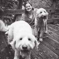 Mollie Moody's profile image