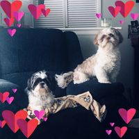 Andrea Jurkowski's profile image