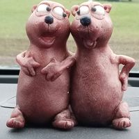 Michelle Carroll's profile image