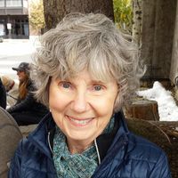 Sue Lynn Saldin's profile image