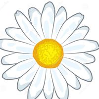 Shannon Rouse Beck's profile image