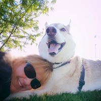 Lisa McNally's profile image