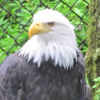 Michael L. McFadden's profile image