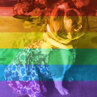 Megan Sullivan's profile image