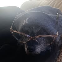 Michelle Baldi's profile image