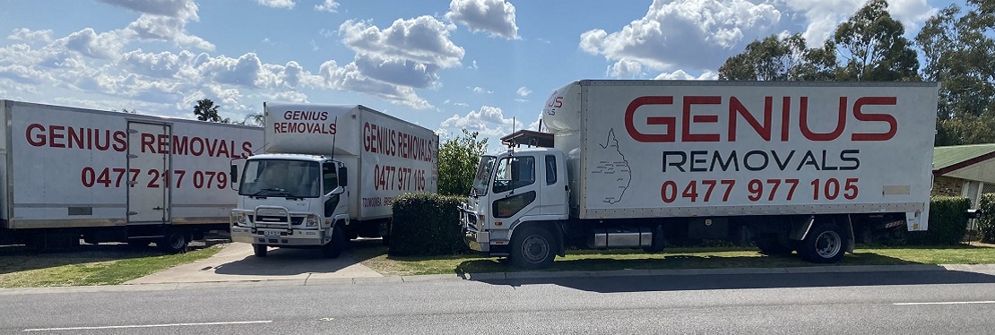 Genius Removals's cover image