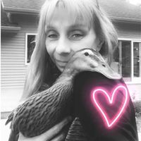 Kim Repinski's profile image