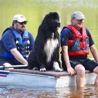 Tom Jerrell's profile image