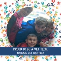 Cristin Ash's profile image