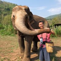 Brian Nguyen's profile image