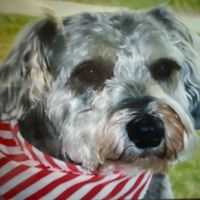Julie Ann's profile image