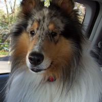 Wendie Schulman's profile image