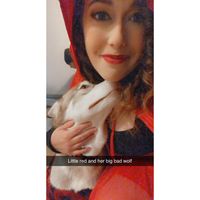 Melissa Johnston's profile image