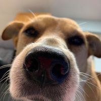 Alissa Kulow Bartlett's profile image