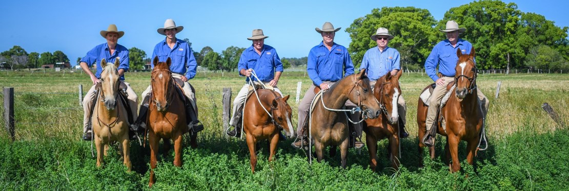 Port Macquarie Hastings Rural Sales's cover image