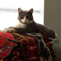 Paulann Baker's profile image