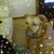 George Maselli III's profile image