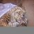 Louise Farley's profile image