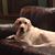 Annette Rene's profile image