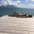 Rebecca Schleisman's profile image