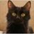 Ella Kirkham's profile image
