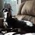 Shirley Lee Dean Melius's profile image