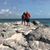 Cathy A. Lorentzen-Perkins's profile image