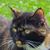Colletta Mckinney Munk's profile image