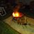 Carol Roe Dickey's profile image