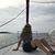 Lily Page's profile image