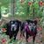 Melissa Gaigler's profile image