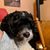 Barbara Smith-Jester's profile image
