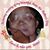 Renee Bland-Hyman's profile image