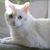 Lucile Squires's profile image