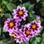 Lyndsey Rundle's profile image