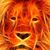 Omar Ghanima's profile image