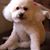 Colleen Raleigh-Shank's profile image