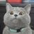 Wenwen Jiang's profile image