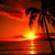Vicki Folk's profile image