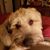 Donita King's profile image