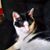 Linda Hart Jacobs's profile image