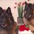 Sharon Chaytor's profile image