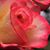 Kathy Pulley's profile image