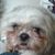 Mikey Husson's profile image