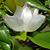 Angela Myers Pontious's profile image