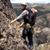 Alexander Nevil Tronchin-James's profile image