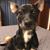Sharon Pemper's profile image