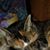 Deborah Frederick Eller's profile image