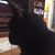 Kathie Christrup's profile image